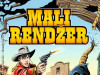 Mali rendžer 29 / LUDENS