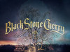 BLACK STONE CHERRY 2 LP / Gramofonske ploče NOVO