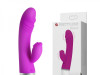 David vibrator, Sex shop Arizona
