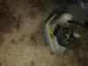 POSUDA ZA ULJE Ford Focus Fokus 1.8 tdci 2004