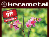 Orhideja Phalaenopsis mini