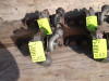 TURBINA 1,9 TDI 77 KW VW CADY CADDY KEDI