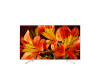 Sony TV 49'' XF8577, 4K, ANDROID