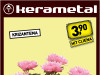 Krizantema mix