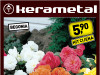 Begonia MIX