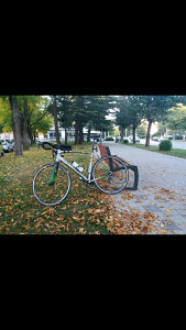 Specialized allez sport 58 ram xl
