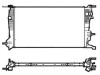 Hladnjak vode Renault Megane 3 2008-