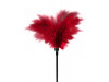 Golicalica GP Feather Red | Sex Shop Fantasy