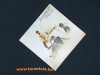 Imagination LP / Gramofonska ploča !!!