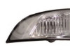 Žmigavac Renault Scenic 3 2009-