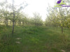 Zemljište sa voćnjakom površine 5959m2! ID: 1073/EN