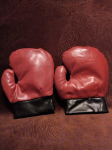 Dječije bokserske rukavice