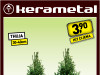 Thuja Smaragd 30-40cm