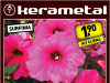 Surfinia, petunia