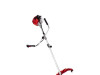 Einhell motorni trimer za travu GH-BC 43 AS