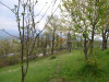 BAULAND prodaje: Zemljište-1502m2/Nadosjek