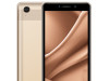 Oukitel Smartphone C10 Gold