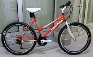 Novo - CAPRIOLO PASSION LADY 26\