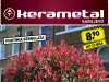 Photinia serrulata