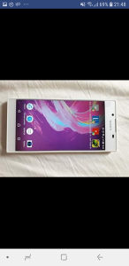Sony L1