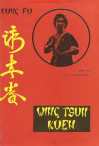 Wing Tsun Kuen Kung Fu - Ting, PDF (324str.)
