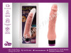 Vibrator