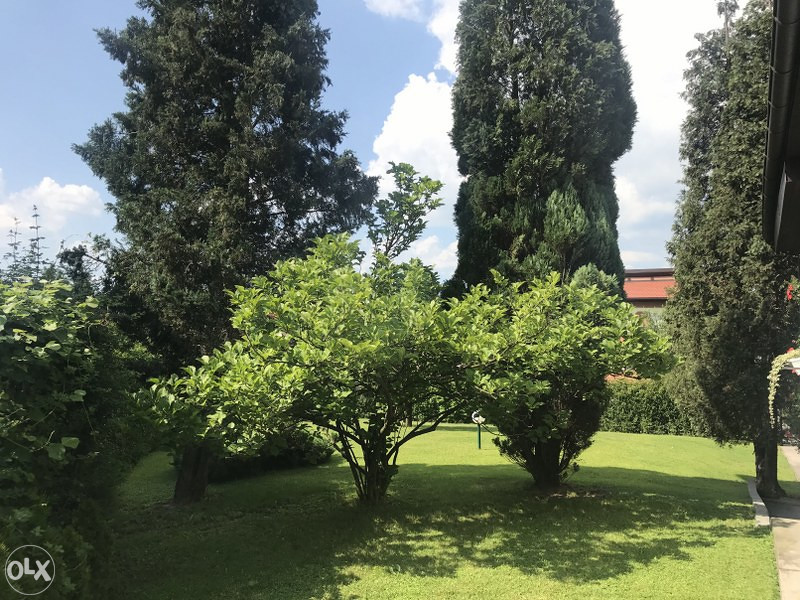 Moderna jednospratna kuća sa baštom VISOKO/MOŠTRE