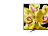Sony 49'' XG8096 4k Android TV