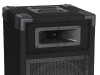 ZVUČNIK IBIZA PASIVNI,250W, 10