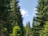 zemljište (1480m2) na Jahorini-Dvorišta