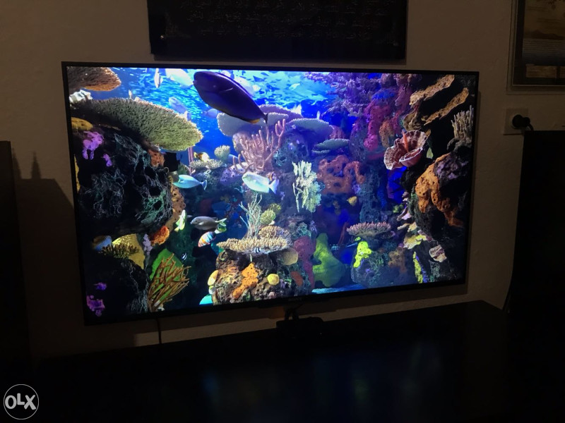Sony Bravia 49inch -LED TVs (4K Ultra HD 3D) Smart