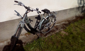 Elektricno biciklo Sparta