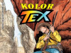 Tex Kolor 6 / STRIP AGENT