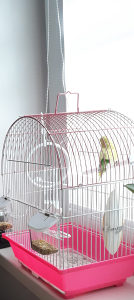 Kavez za ptice