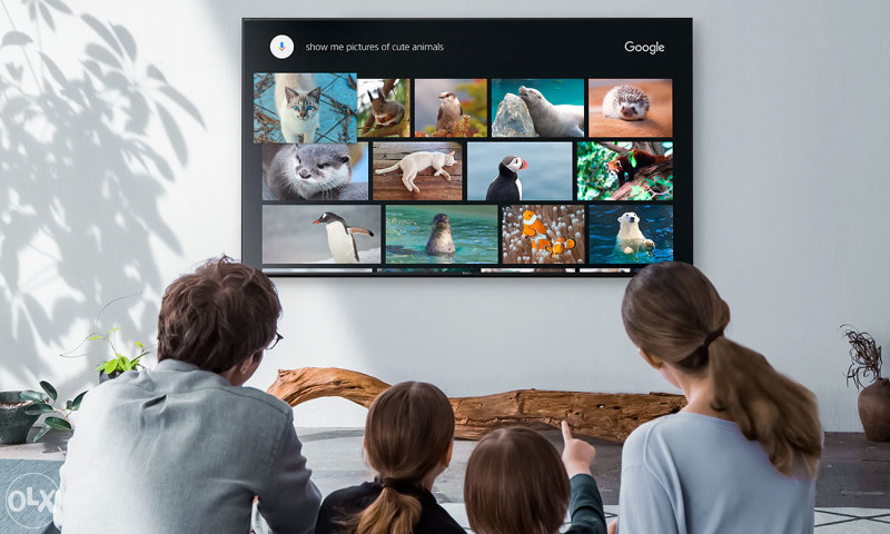 Sony UltraHD 65" Android 65XG8096 WiFi 4K TV XG8096