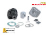 MALOSSI grt. cilindra KEEWAY, CPI, MALAGUTI 70ccm