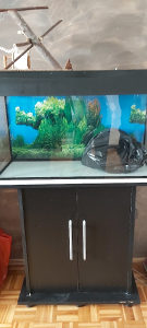 Akvarij za ribice 120 L