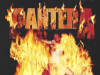 Pantera LP / Gramofonska ploča !