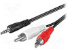 AUDIO AUX 3.5MM - 2X RCA STEREO 5m (006450)
