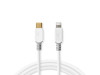 APPLE LIGHTNING - USB C KABAL 1m za Iphone 11(023916)