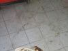 Peugeot 407 zmigavac desni blatobrana