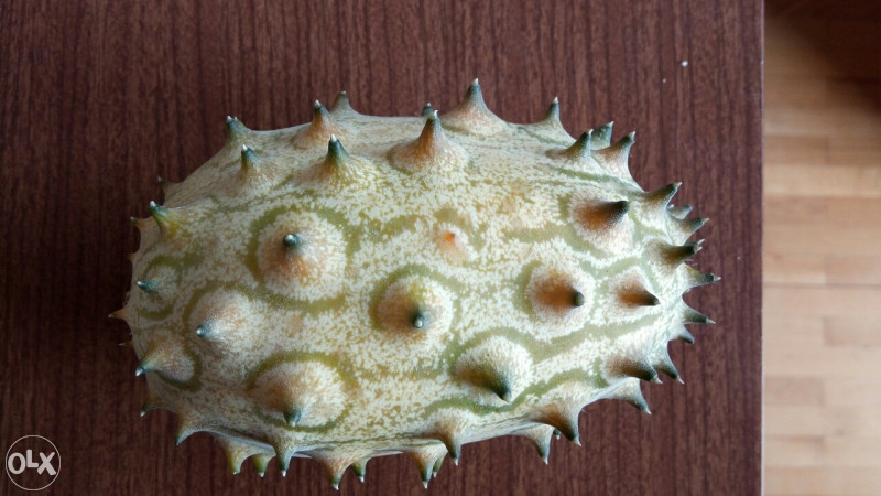 Kivano kiwano voće za jelo, zdravo, organsko kg