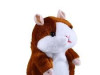 HRCAK KOJI PRICA, HRCAK KOJI GOVORI TALKING HAMSTER