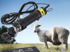 ELEKTRICNA MASINA MASINICA ZA SISANJE OVACA 450W
