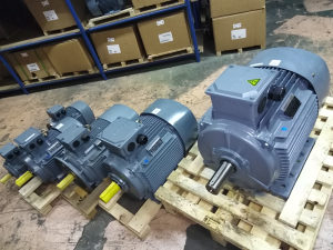 Trofazni elektromotor 18,5kW/2900 obrtaja