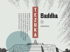 Buddha 8 / FIBRA