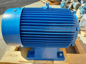 Trofazni elektromotor 45kW/2900 obrtaja