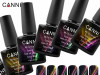 Canni colour coat