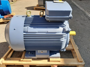 Trofazni elektromotor 160kW/2900 obrtaja