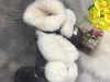 Uggs
